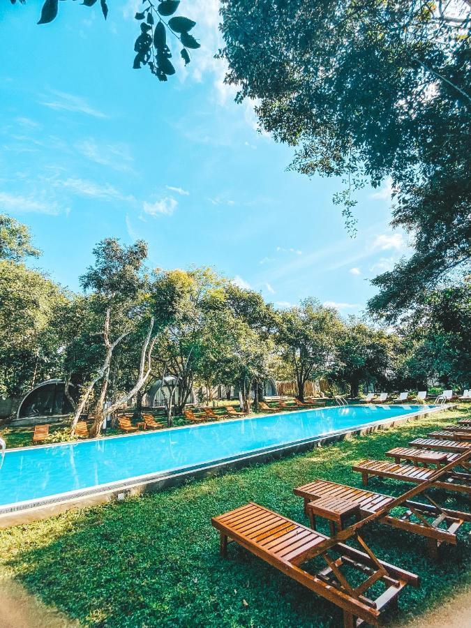 Nivadoo Resort Sigirija Zewnętrze zdjęcie